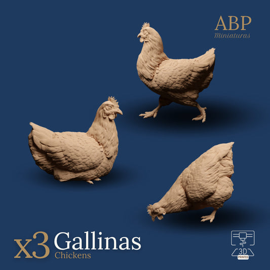 Set de 3 gallinas