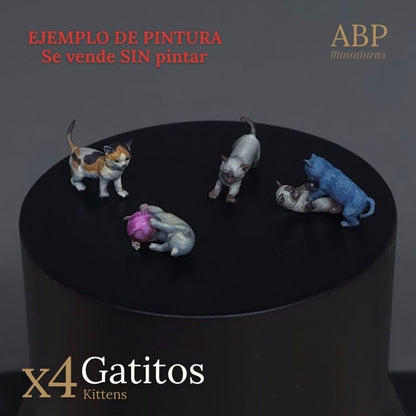 Set de 4 Gatitos