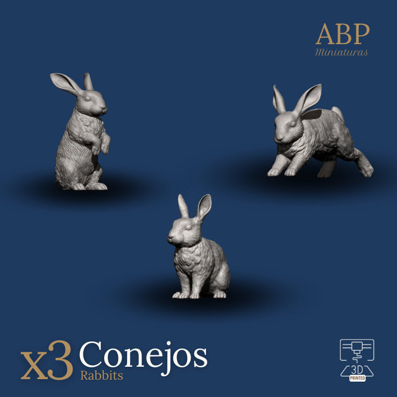 Set de 3 Conejos