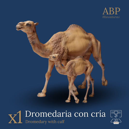 Dromedaria con Cría