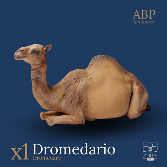Dromedario Tumbado