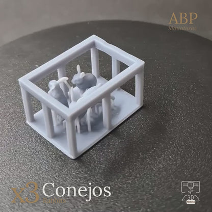 Set de 3 Conejos
