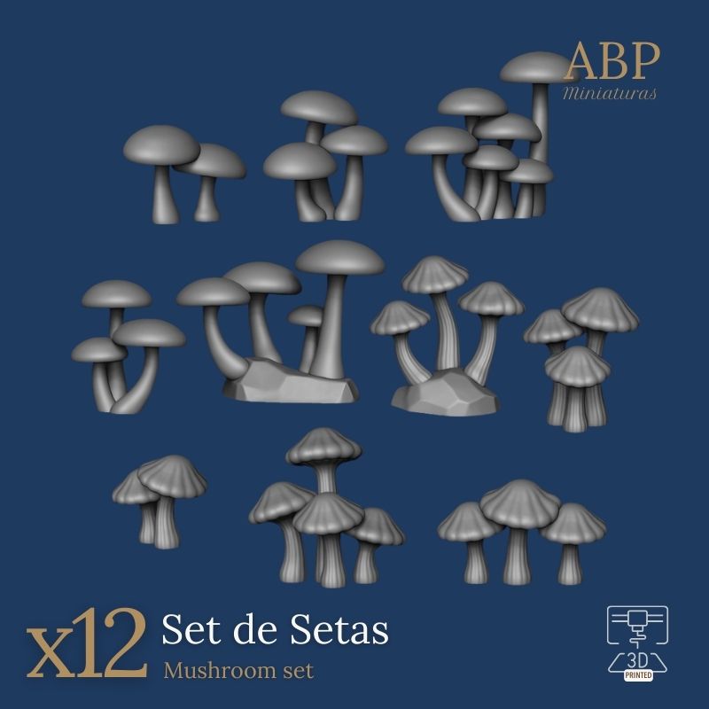 Set de Setas