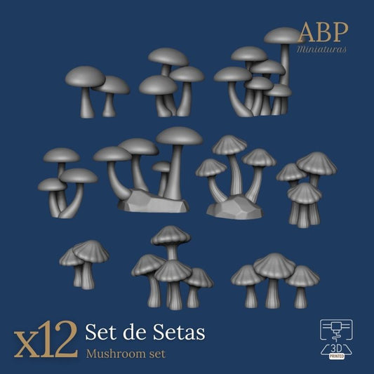 Set de Setas