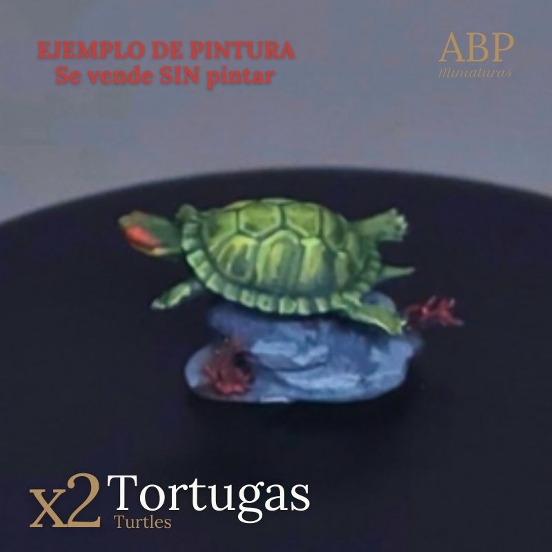 Set 2 tortugas