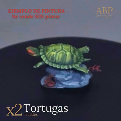 Set 2 tortugas